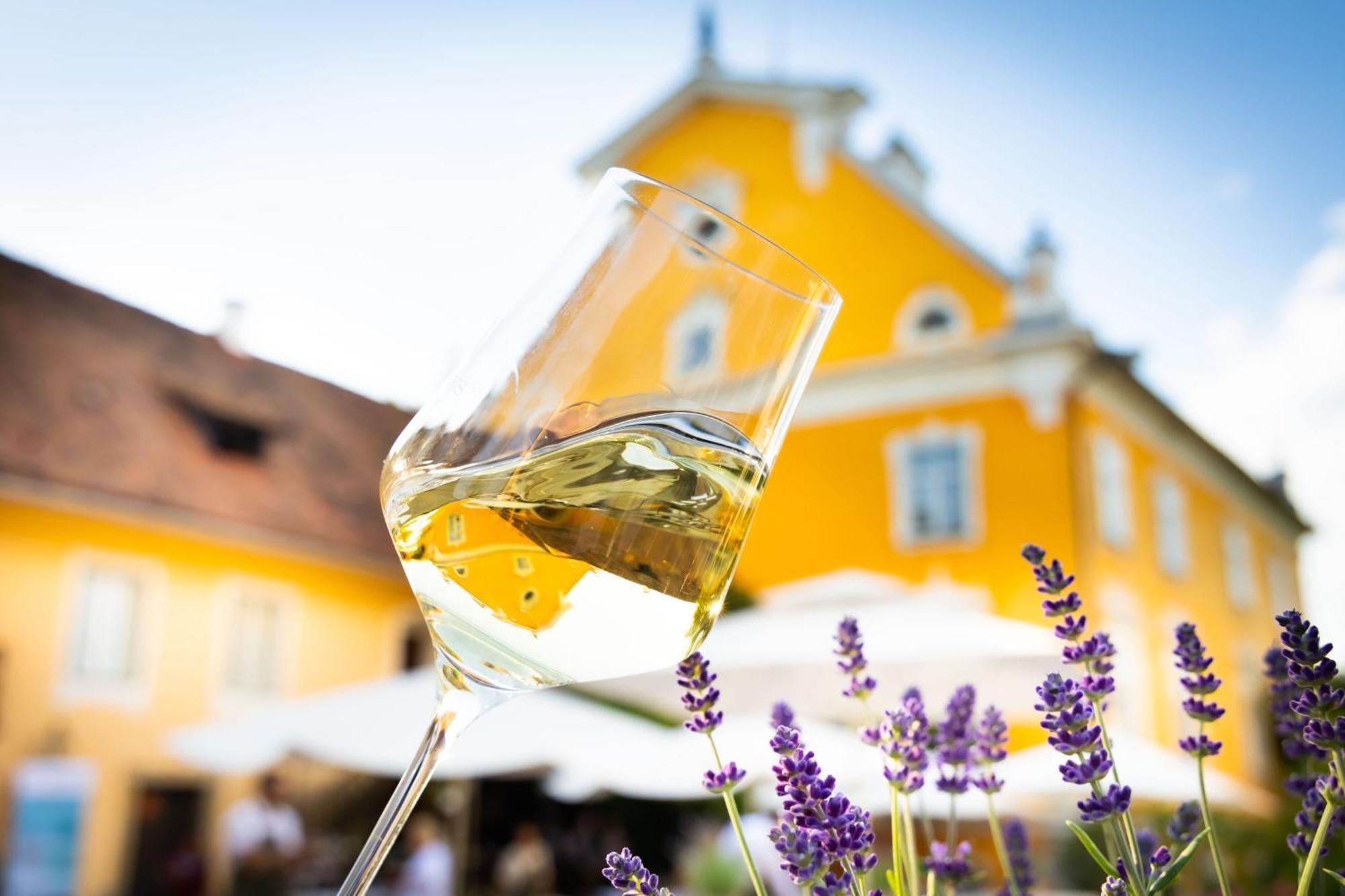 Schloss Gamlitz Hotel Exterior photo